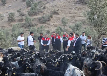 Çiftçilere, yeni hayvancılık desteklemeleri modeli anlatıldı