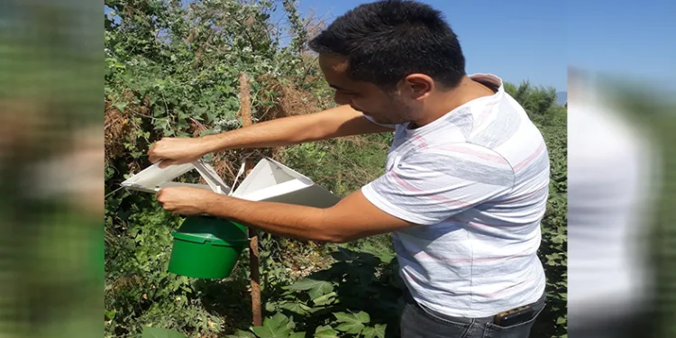 Söke’de tuzak kontrolleri yapıldı