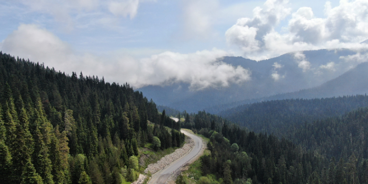 Çankırı’da yasadışı avlanan 3 kişiye 9 bin 873 TL ceza