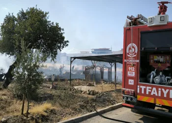 Yerleşim alanlarına yakın noktada çıkan örtü yangını korku yaşattı