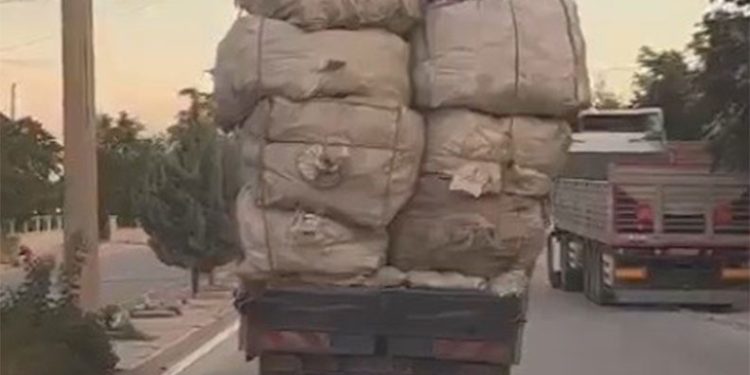 Kamyonetteki yükün üzerindeki çocukların elektrik tellerine çarpmamak için eğilerek gitmeleri kamerada