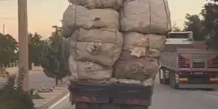 Kamyonetteki yükün üzerindeki çocukların elektrik tellerine çarpmamak için eğilerek gitmeleri kamerada