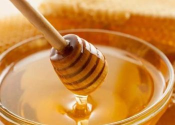 Bal yediği sırada diline arı sokan adam hayatını kaybetti