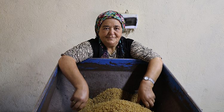 Kötü söylemlere kulak asmadı, ilçenin tek kadın değirmencisi oldu
