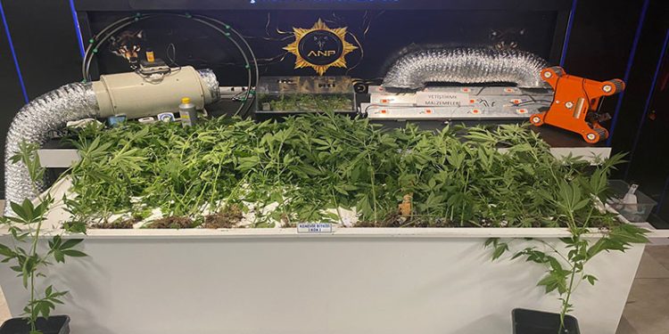 Evinde uyuşturucu imal eden kişi yakalandı