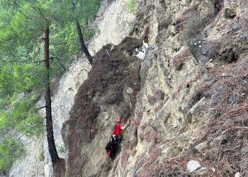 Dağda mahsur kalan keçileri jandarma kurtardı