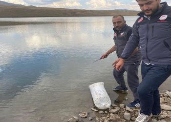 Akarsu ve göletlere 48 bin balık yavrusu bırakıldı
