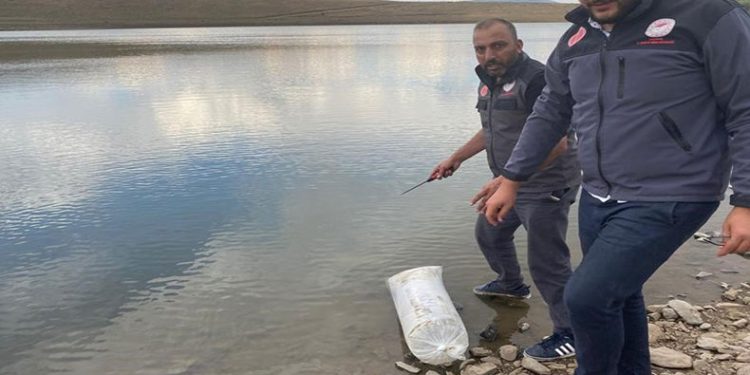 Akarsu ve göletlere 48 bin balık yavrusu bırakıldı