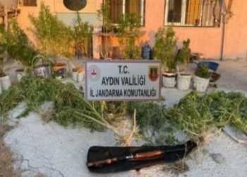 Jandarmadan uyuşturucu baskını: 1 tutuklama