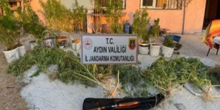 Jandarmadan uyuşturucu baskını: 1 tutuklama