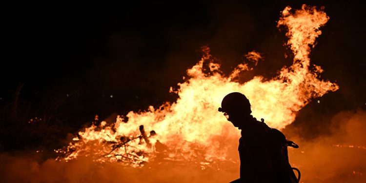 Brezilya’daki yangında ormanın yüzde 20’si küle döndü