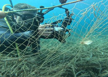 ‘Hayalet ağ avcıları’ görev başında
