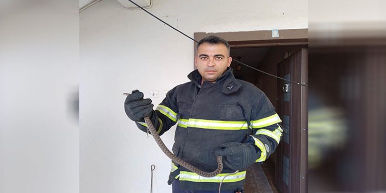 Erzin’de eve giren yılanı itfaiye yakaladı