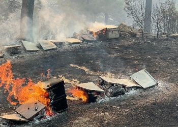 Muğla Büyükşehir’den yangından etkilenen arıcılara destek