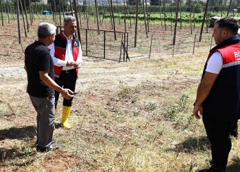 Zarar gören tarımsal alanlarda hasar tespit çalışmaları yapıldı