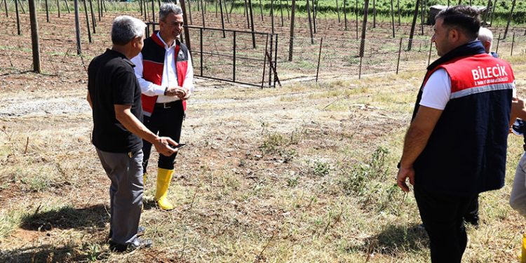 Zarar gören tarımsal alanlarda hasar tespit çalışmaları yapıldı