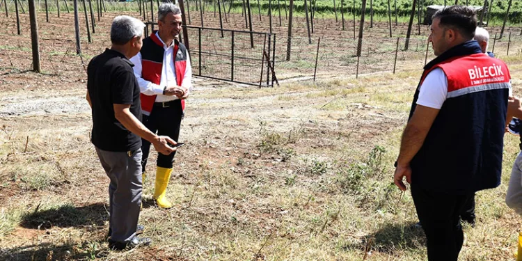 Zarar gören tarımsal alanlarda hasar tespit çalışmaları yapıldı