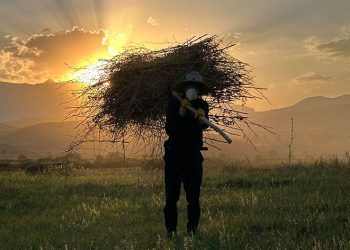 Yüksekova’da çiftçilerin kış hazırlığı başladı