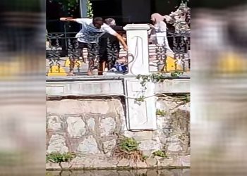 Amatör balıkçının oltasına balık yerine yılan takıldı