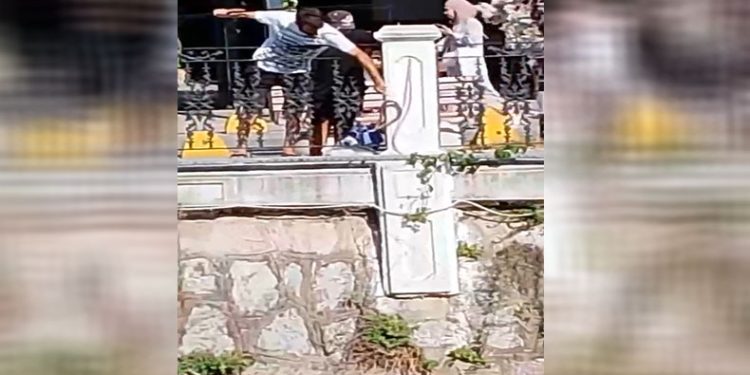 Amatör balıkçının oltasına balık yerine yılan takıldı