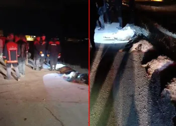 Otomobil koyun sürüsüne daldı: 15 koyun telef oldu
