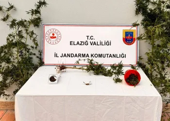 Evinin bahçesine uyuşturucu ekmiş