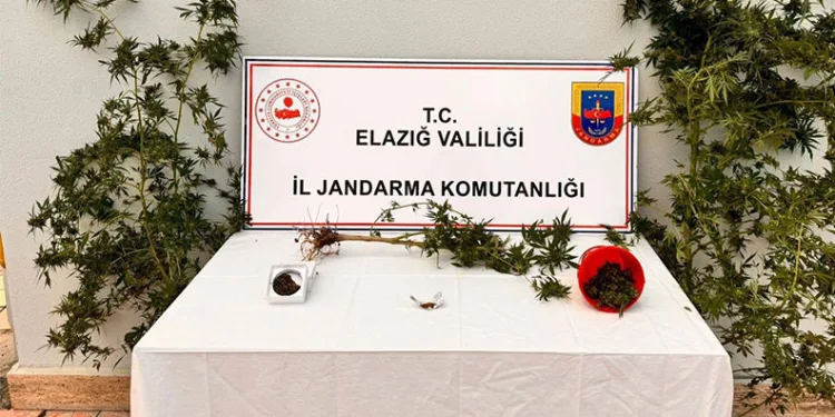 Evinin bahçesine uyuşturucu ekmiş