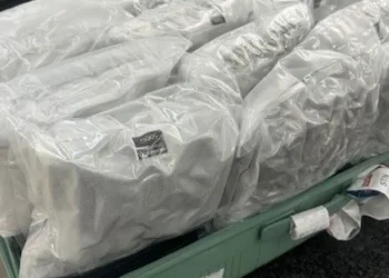 Eski Arsenal yıldızı, uyuşturucu kaçakçılığından tutuklandı