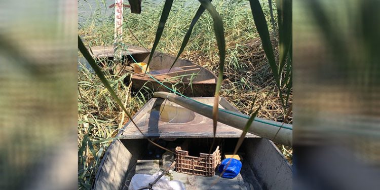 Azap Gölü’ne 250 bin yavru sazan balığı bırakıldı