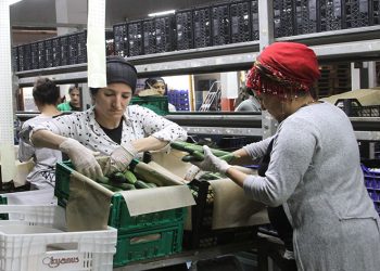 Batı Akdeniz’den 8 ayda1 milyar 765 milyon dolar ihracat