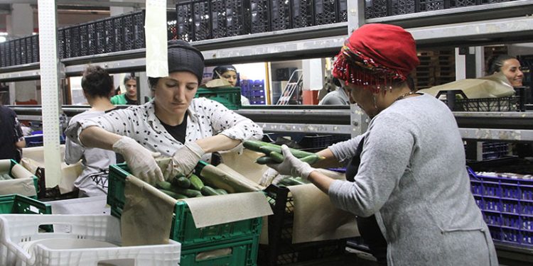 Batı Akdeniz’den 8 ayda1 milyar 765 milyon dolar ihracat