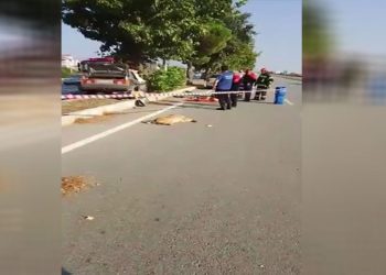 Yola çıkan köpek kazaya neden oldu: 1 ölü, 2 yaralı