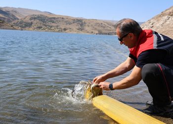 Kars’ta göllere 1 milyon 680 bin sazan balığı salındı