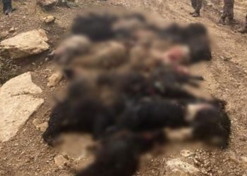 Siirt’te yıldırım düştü: 64 keçi telef oldu