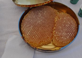 Sason’da en iyi bal yarışması düzenlendi