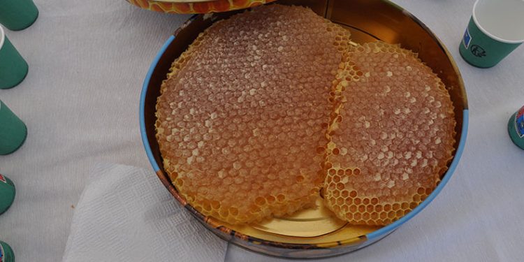 Sason’da en iyi bal yarışması düzenlendi