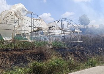 Tarım arazisi yandı, 3 sera zarar gördü