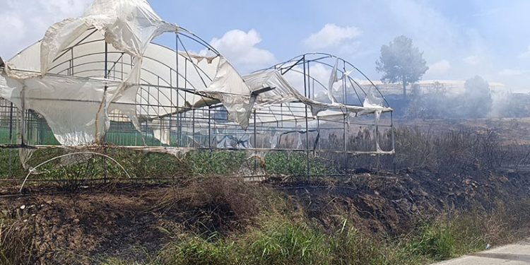 Tarım arazisi yandı, 3 sera zarar gördü