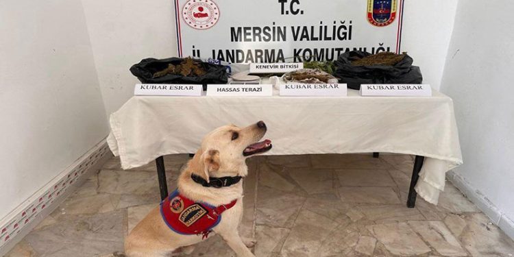 Mersin’de uyuşturucu madde operasyonu: 3 gözaltı