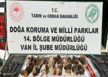 Kota aşımı yapan 3 avcıya 57 bin 373 lira cezai işlem uygulanacak