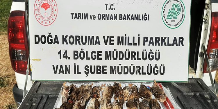 Kota aşımı yapan 3 avcıya 57 bin 373 lira cezai işlem uygulanacak