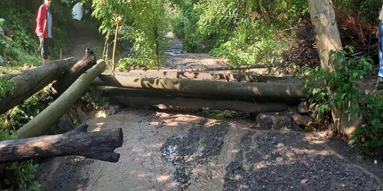 Artvin’de şiddetli yağış sel ve su taşkınlarına neden oldu