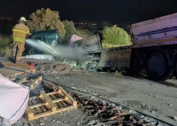 Kaçak göçmenler için ‘şok evler’ tuttular, polisi görünce ‘şok oldular’