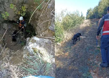 Kuyuya düşen köpeği itfaiye kurtardı