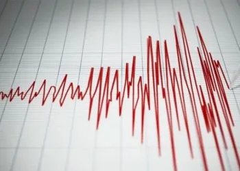 Jandarma şüpheli araçta silah ve uyuşturucu ele geçirdi: 5 gözaltı