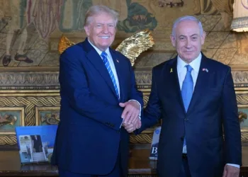 Ormanlar karış karış temizledi