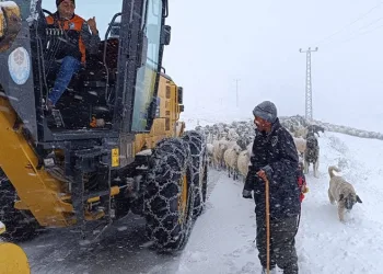 Kahvaltı için aldığı peynirden metal somun çıktı