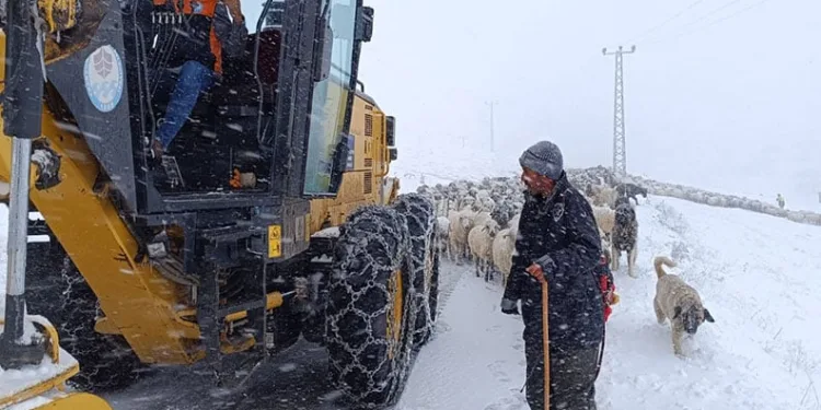 Kahvaltı için aldığı peynirden metal somun çıktı