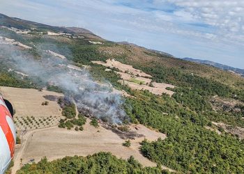 Kulu’da okul servislerine denetim