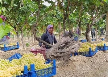 Kastamonu’da ebeveynler ile çocuklar arasındaki iletişim bu akademide güçlenecek